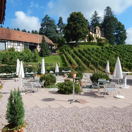 Wein - Gruppenhaus Weingut Neveu * דורבאך